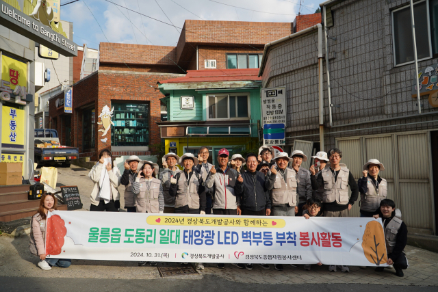 경북개발공사 임직원 봉사단이 지난달 31일 경북 울릉군을 찾아 태양광 LED 벽부등 설치 봉사활동을 추진하고 기념 촬영하고 있다. 경북개발공사 제공