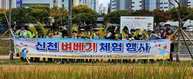 대구공공시설관리공단(이사장 문기봉) 신천수변공원사업소는 한 해 동안 논·둠벙(농사용 웅덩이)에서 직원들이 대구시 청소년문화의집 학생들과 함께 가꿔온 벼를 수확했다고 5일 밝혔다. 대구공공시설관리공단 제공