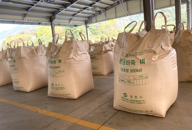 영천시는 6일 신녕면을 시작으로 2024년산 공공비축미와 시장격리곡 건조벼를 매입한다. 영천시 제공