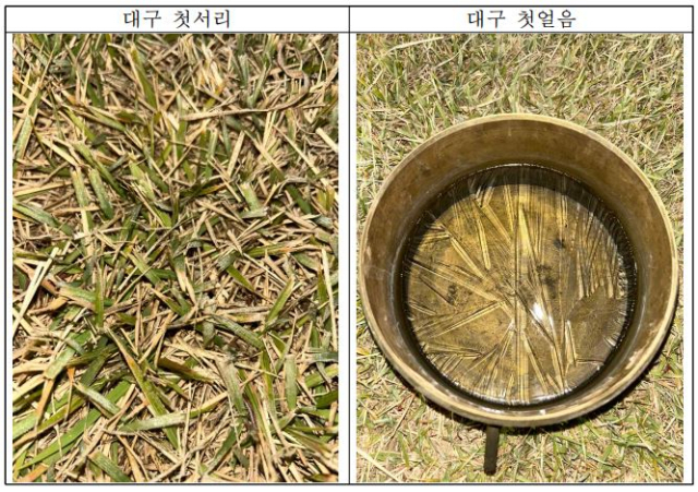 대구 첫서리, 첫얼음 관측현황. 대구기상청 제공