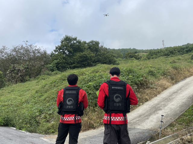 영주국유림관리소 직원들이 산림내 불법 임산물 채취 행위를 단속하고 있다. 영주국유림관리소 제공