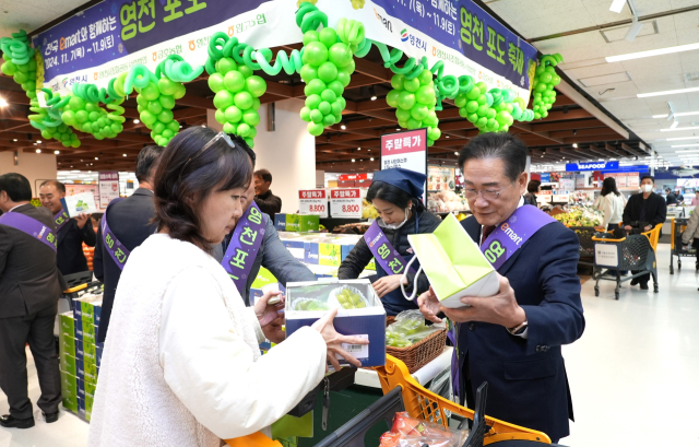 영천과일 특판행사가 완판 행진을 하고 있다. 전국 이마트와 함께하는 영천포도축제에서 최기문(오른쪽) 영천시장이 소비자 판촉활동을 하고 있다. 영천시 제공