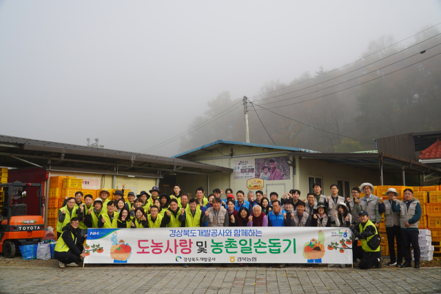 경북개발공사와 농협중앙회 경북지역본부 임직원들이 지난 11일 농업인의 날을 맞아 문경 일대에서 농촌 일손돕기 봉사활동을 추진하고 기념 촬영하고 있다. 경북개발공사 제공