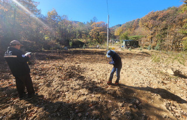 남부산림청이 산지 불법 전용(사진) 등 산림 내 불법 행위자 24명을 적발했다. 남부산림청 제공