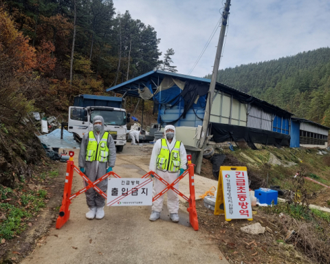 군위군 의흥면 한우농가 럼피스킨병 확진, 양성 축만 선별적으로 살처분