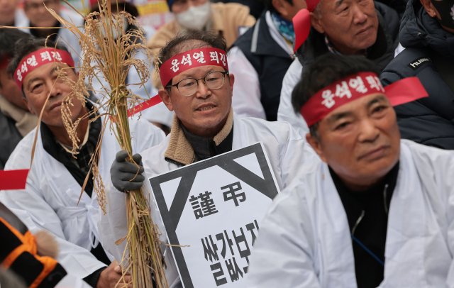 20일 서울 중구 숭례문 앞 세종대로에서 열린 전국농민대회 및 윤석열 정권 퇴진 2차 총궐기에서 한 농민이 손팻말과 벼를 들고 있다. 연합뉴스