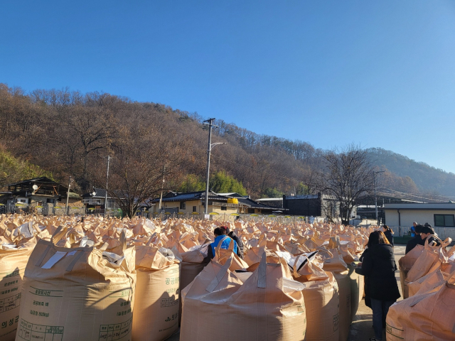 경북 의성군 공공비축벼 검사장에 800kg 벼 포대가 즐비하게 늘어서 있는 가운데 검사원들이 직접 벼를 살펴보며 검사하고 있다. 의성군 제공