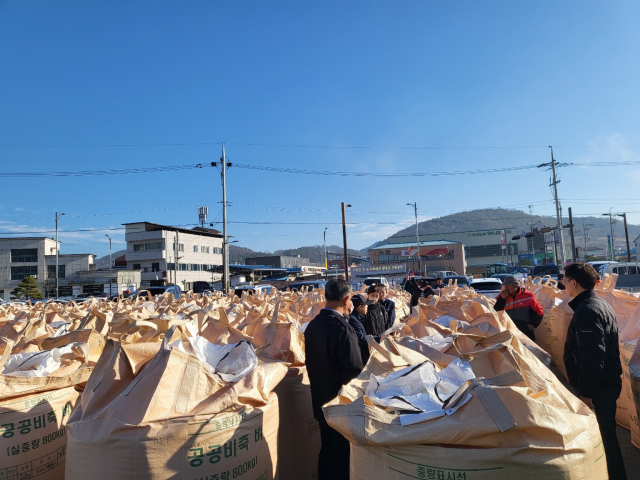 지난해 11월 경북 의성군 공공비축벼 검사장에 800㎏ 벼 포대가 즐비하게 늘어서 있는 가운데 검사원들이 직접 벼를 살펴보며 검사하고 있다. 매일신문 DB