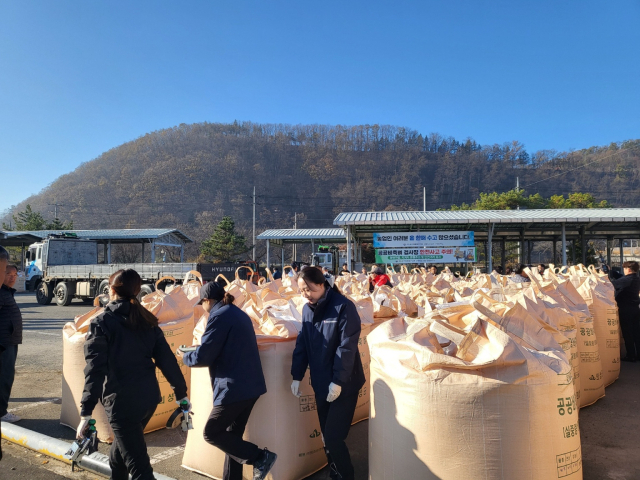 경북 의성군 공공비축벼 검사장에 800kg 벼 포대가 즐비하게 늘어서 있는 가운데 검사원들이 직접 벼를 살펴보며 검사하고 있다. 의성군 제공