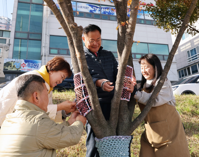 가로수 겨울옷