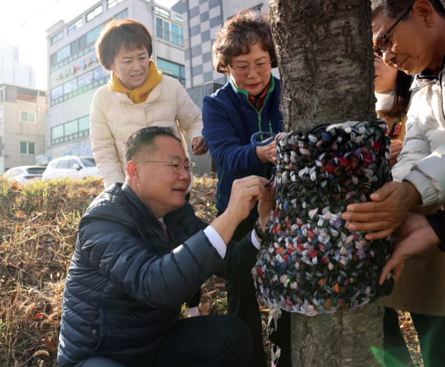 가로수 겨울옷