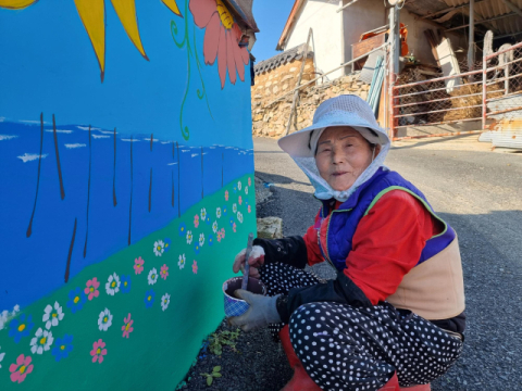 전남 장흥군, 한승원 작가 생가에 벽화 그려져…노벨문학상 수상 기념