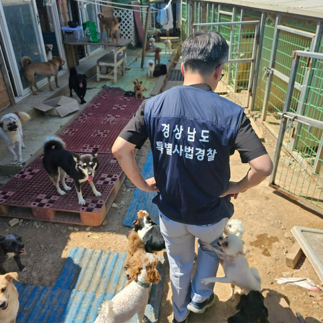 경남도 특별사법경찰 동물학대 행위 등을 단속하고 있다. [사진=경남도]