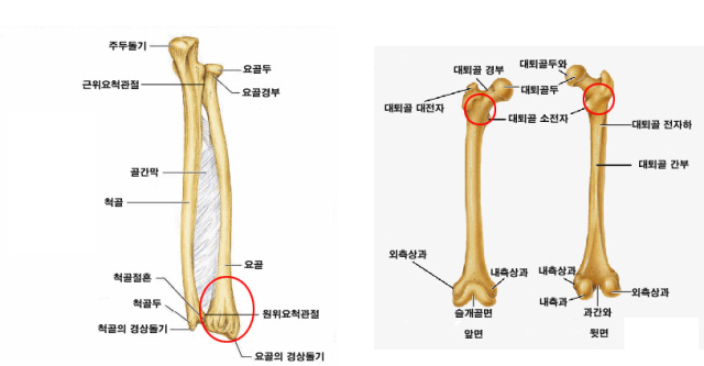 인슈넷 제공.