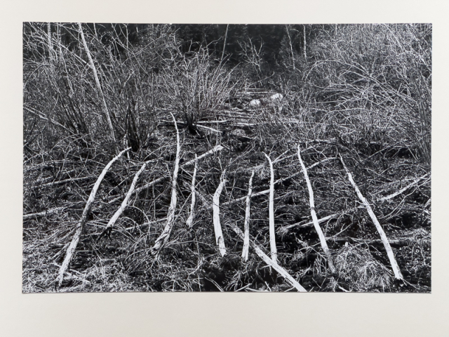 Richard Long, NINE STICKS IN NORTHERN MANITOBA, 1974, Gelatin silver print, 52x79cm. 갤러리 신라 제공