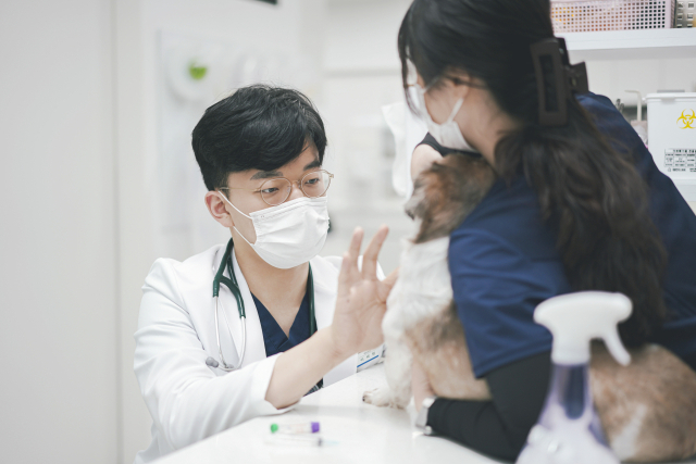 대구 바른동물의료센터 이세원 원장이 강아지를 진료하고 있다. 바른동물의료센터 제공