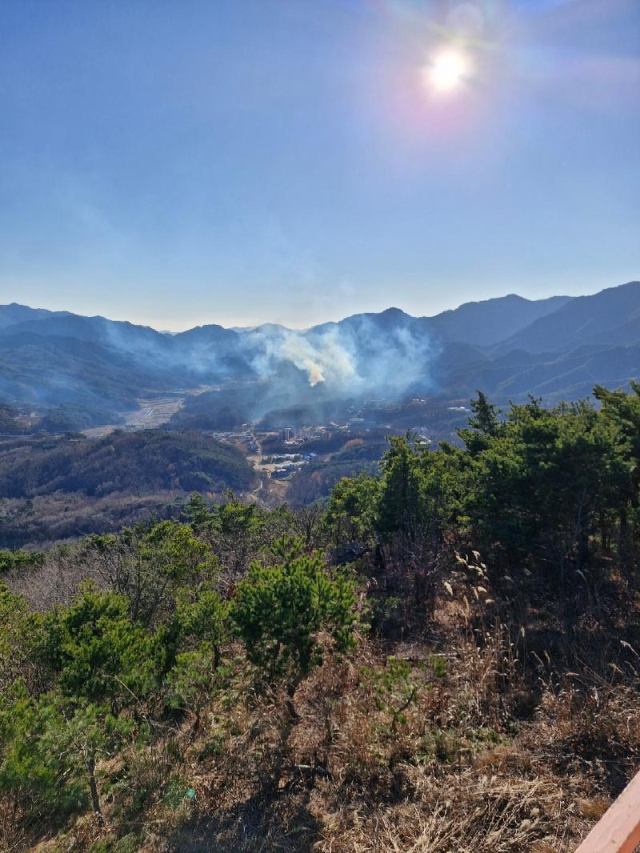 6일 산불이 발생한 울진군 온정면 야산. 경북소방본부 제공