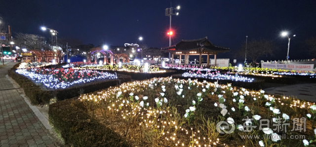 포항 영일대해수욕장 장미원에 LED로 만든 장미와 경관조명들이 겨울 바다를 화려하게 물들이고 있다. 포항시 제공