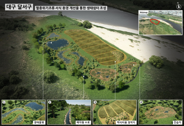 하중도에 들어설 철새 생태쉼터 조감도. 대구달서구청 제공.