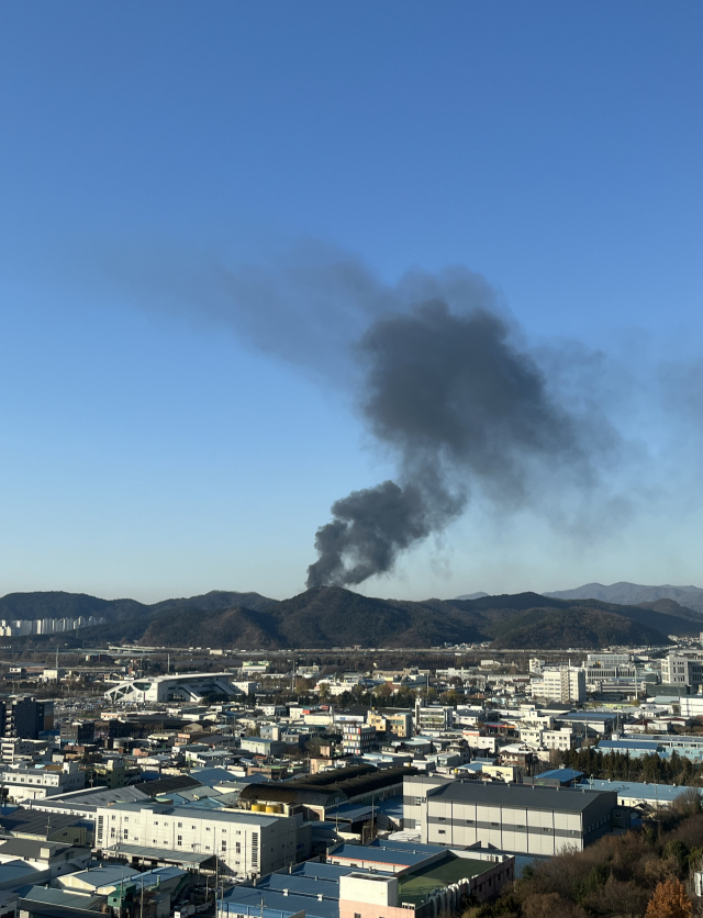 19일 오후 3시 11분쯤 대구 북구 금호동의 한 비닐하우스에서 화재가 발생했다. 독자 제공