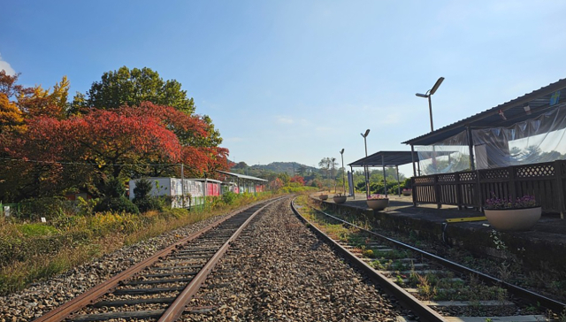 중앙선 철도 복선화로 유휴부지로 변한 풍기읍 수철리 철도 모습. 영주시 제공