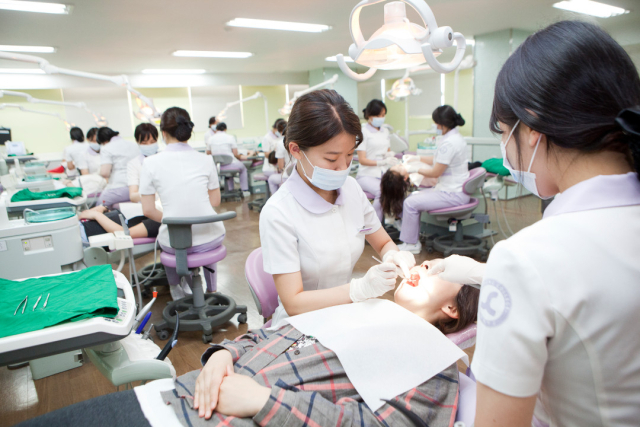 수성대 치위생과 학생들이 실습을 하고 있다. 수성대 제공