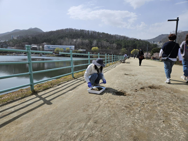 대구 수성못 맨발걷기길 모습. 대구시청 제공