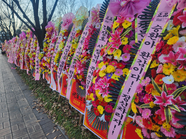 24일 경북 구미시청 앞 대로변은 이승환 구미 콘서트 대관을 취소한 구미시를 응원하는 화환이 이어지고 있다. 이영광 기자