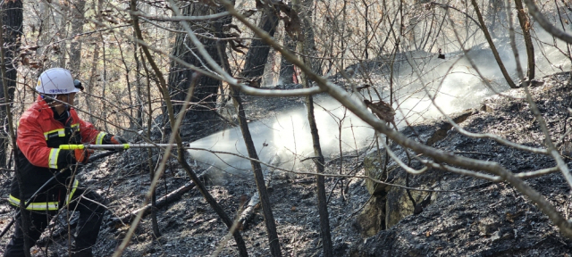 대구 군위군 군위읍 하곡리 산 32-10 일원에서 산불이 발생한 가운데 산불진화대가 잔불을 정리하고 있다. 산림청 중앙산림재난상황실 제공