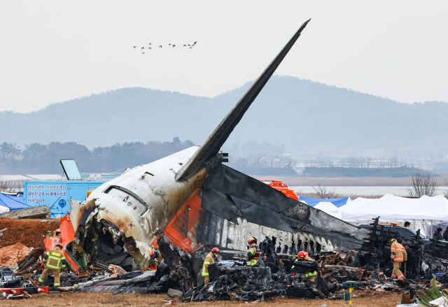 30일 오전 전남 무안군 무안국제공항 제주항공 여객기 충돌 폭발 사고 현장 인근에서 새 무리가 비행하고 있다. 연합뉴스