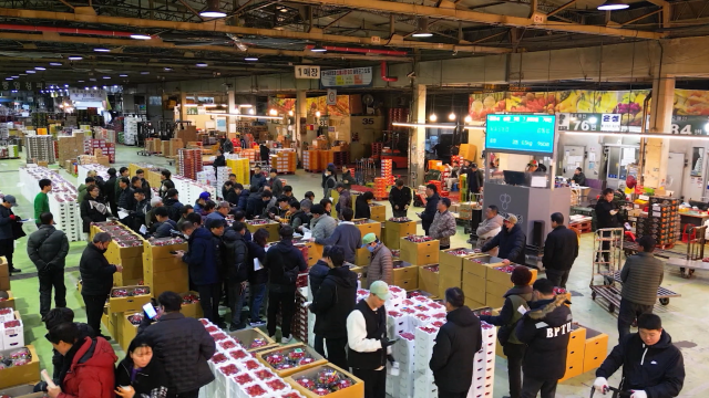 대구농수산물유통공관리공사가 진행한 경매 활동 모습. 대구시 제공