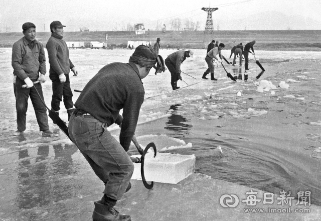 [찰나의 순간 역사적 기록] 꽁꽁 언 금호강 얼음 썰어 누에씨 보관