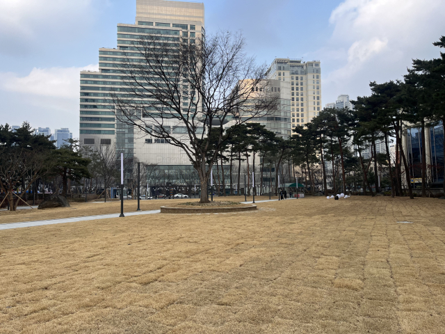 6일 방문한 2·28기념중앙공원. 지구본 분수대를 중심으로 설치됐던 우거진 나무들, 벤치는 온데간데 없어지고 나무 한 그루만 중앙을 차지하고 있다. 정두나 기자.