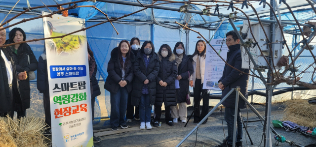 스마트팜 농장을 찾은 대구농업마이스터고 교사들이 샤인머스켓 농장 체험을 했다. 영주시 제공