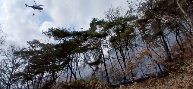 8일 오후 의성군 안계면 안정리 한 야산에서 불이 나자 소방헬기가 산불을 진화하고 있다. 경북도소방본부 제공.