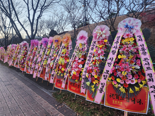 이승환 콘서트 취소 지지 화환 250여개가 구미시청앞 길가를 빼곡하게 메우고 있다. 이영광 기자