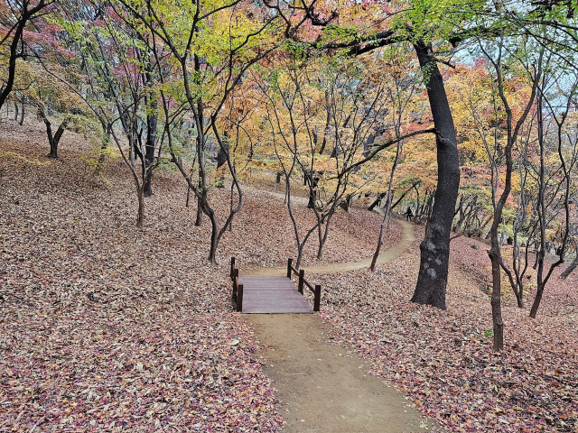 지난해 12월 새롭게 조성된 수성구 범어공원 산책로. 대구 수성구청 제공