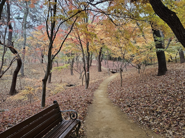 지난해 12월 새롭게 조성된 수성구 범어공원 산책로. 대구 수성구청 제공