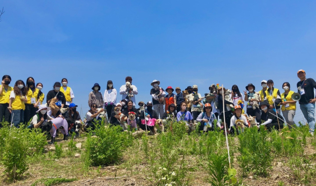 안동시가 지역특화림 조성과 숲가꾸기, 산불예방 및 진화를 비롯해 산림재난으로부터 시민 보호 등 건강한 숲, 그린시티 조성에 적극 나선다. 안동시 제공