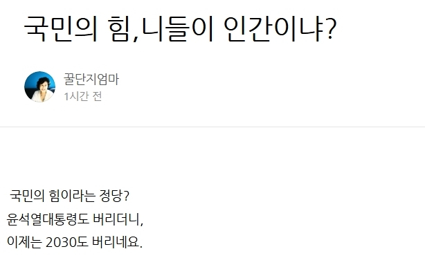 전여옥 전 국회의원 블로그