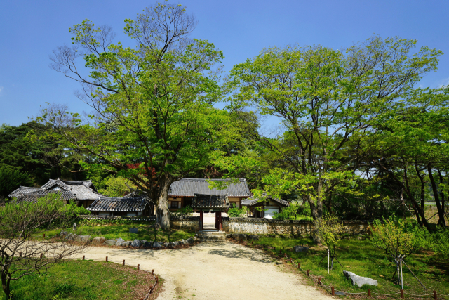 봄철 회연서원 전경. 성주군 제공