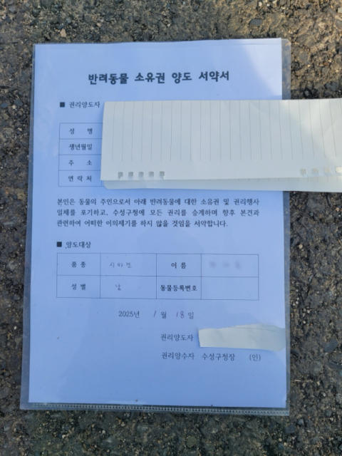 학대 의심 반려견의 견주가 작성한 반려동물 소유권 양도 서약서. 동물보호단체 케어 제공.