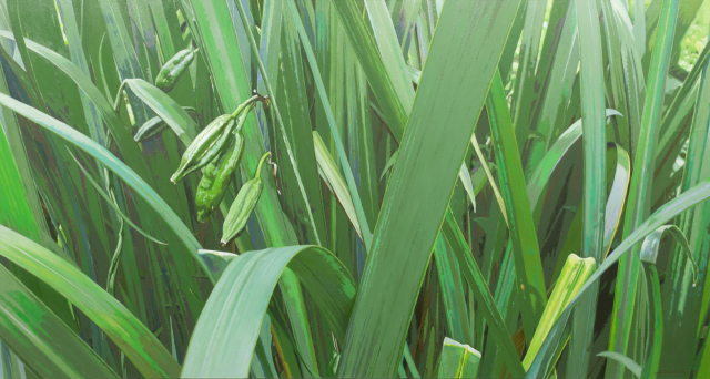 지철형, LEAFseries, Oil on Panel, 130.5x69.2cm, 2024