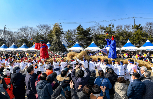 지난해 영주 선비촌에서 정월대보름행사로 열린 성하·성북 줄다리기 모습. 영주시 제공