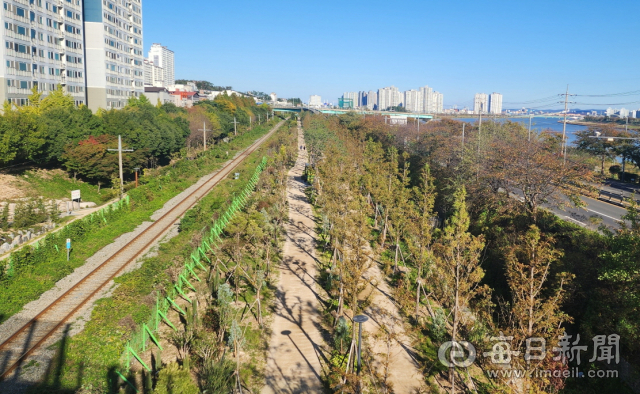 포항~경주 사이의 관문숲 전경. 포항시 제공