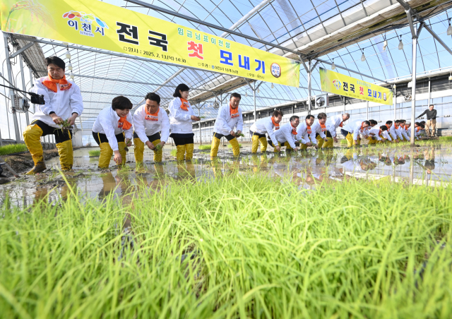 한국농어촌공사는 22일 저탄소농업 프로그램 시범사업에 참여한 1만5천여농가들에 대해 실제 저탄소 농업을 이행 여부를 확인하고 부정수급을 방치할 계획이라고 밝혔다. 지난달 13일 경기 이천시 호법면 안평리 비닐하우스 논에서 열린 