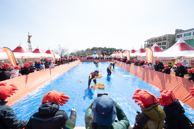 지난해 영덕 강구삼사공원 일원에서 열린 영덕대게축제에 참가한 관광객들이 대게잡이 체험을 하며 즐거운 시간을 보내고 있다. 영덕군 제공