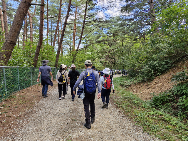 지난해 열린 외씨버선길 걷기 행사 참가자들이 일행들과 함께 산길을 걷고 있다. 봉화군 제공