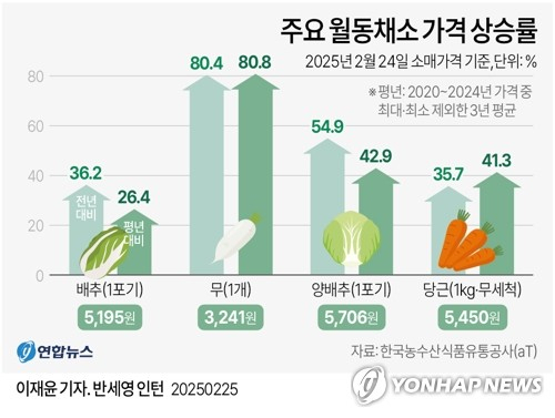 주요 월동채소 가격 상승률 (서울=연합뉴스) 이재윤 기자 = 25일 한국농수산식품유통공사(aT)에 따르면 배추 소매가격은 전날 기준 한 포기에 5천195원으로 1년 전, 평년과 비교해 각각 36.2%, 26.4% 올랐다. 무는 한 개에 3천241원으로 1년 전보다 80.4% 비싸고 평년보다 80.8% 올랐다.