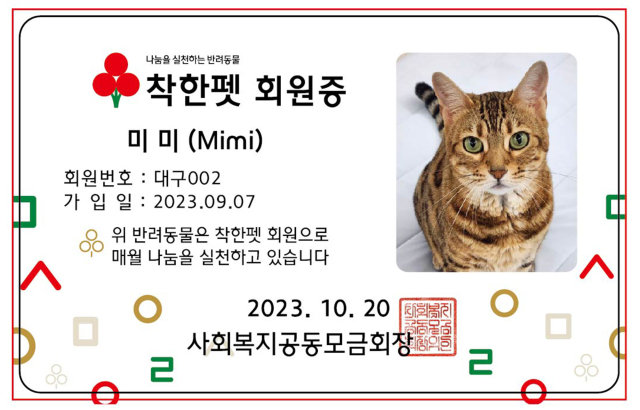 2016년 1월에 태어난 암컷 뱅갈고양이 미미의 착한펫 기부증.